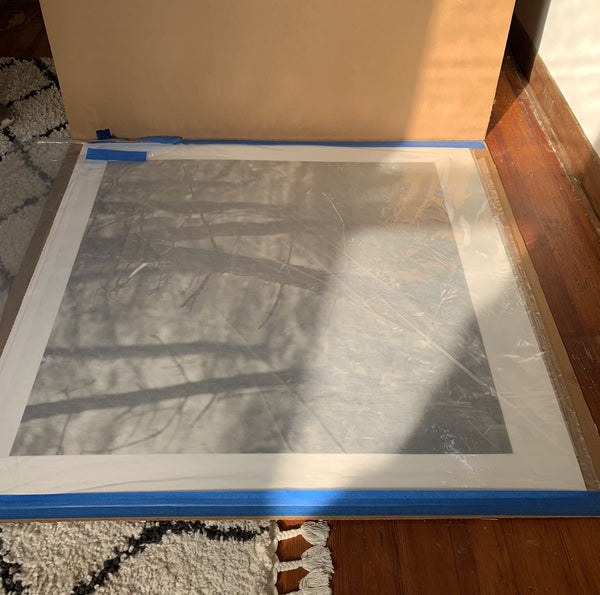 Large Original Print by Eric Lindbloom Titled 'Pine Woods #37' (Unframed)