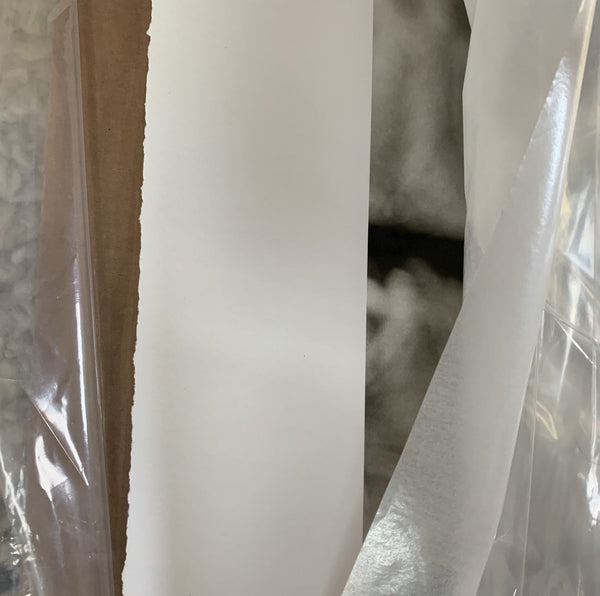 Large Original Print by Eric Lindbloom Titled 'Pine Woods #37' (Unframed)