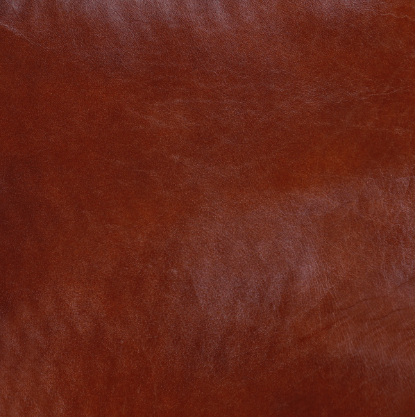 Genoa Leather Accent Chair - Matthew Izzo Collection