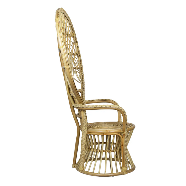 Cabana Rattan Peacock Chair - Matthew Izzo Collection